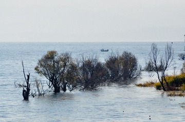 DSC_2465.jpg