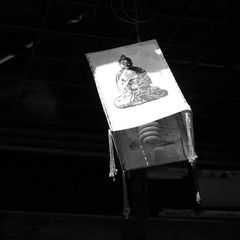DSC_2962.jpg