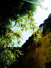 阳光照在院墙里