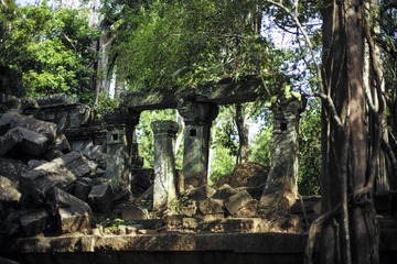 L1003691