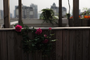 L1007060