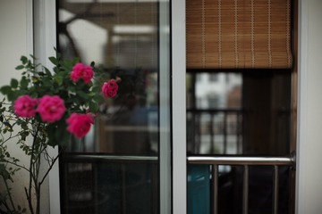 L1007085