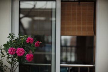 L1007086