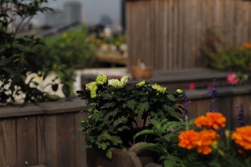 L1007092