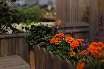 L1007094