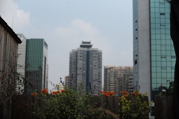 L1007103