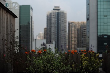 L1007104