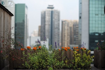 L1007105
