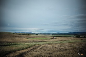 L1001589 