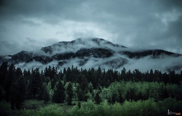 L1001536 