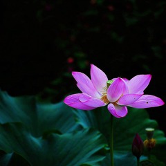001