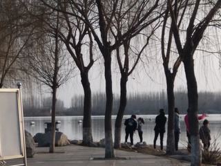 144022