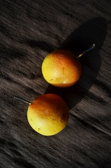 fooder (11)