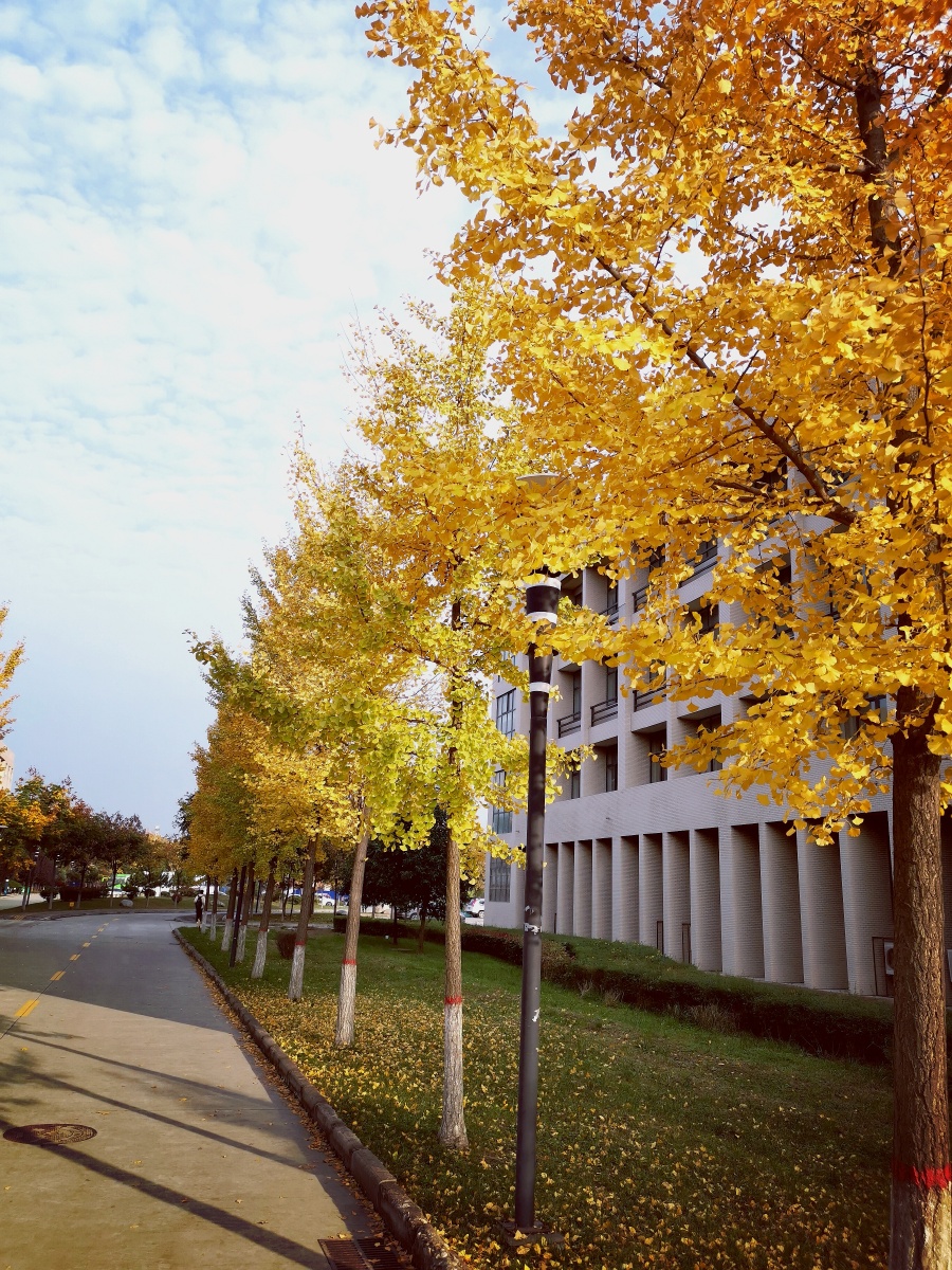 西安石油大学