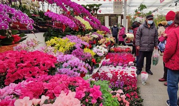 仿日系？花花