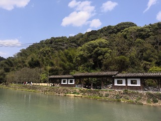 3090239