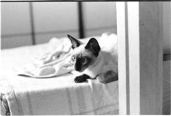 Scan-130825-0001