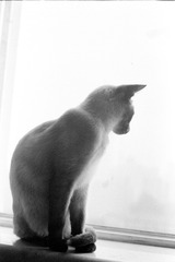 Scan-150108-0016