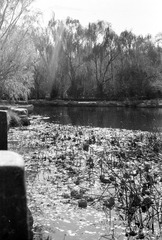 Scan-150108-0022