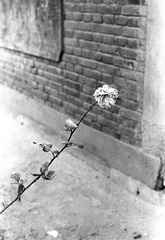 Scan-150312-0017