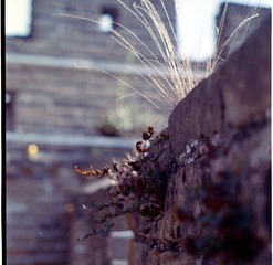 Scan-131010-0015