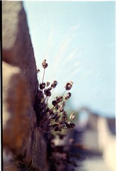 Scan-131010-0016