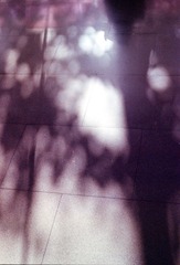 Scan-141219-0027