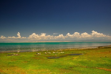 湖畔