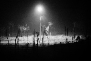 DSCF8969.jpg