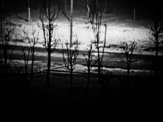 DSCF8972.jpg