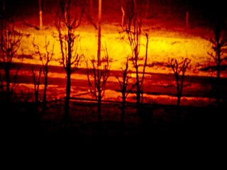 DSCF8972-2.jpg