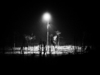 DSCF8976.jpg