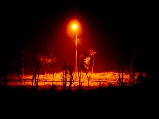 DSCF8976-2.jpg