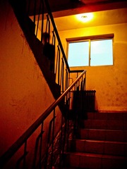 nEO_IMG_DSCF8537.jpg
