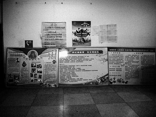nEO_IMG_DSCF8665.jpg