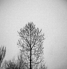 nEO_IMG_DSCF8677.jpg