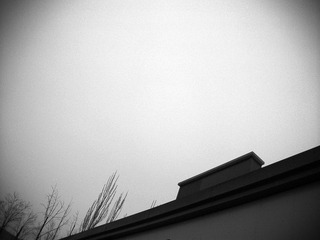 nEO_IMG_DSCF8680.jpg