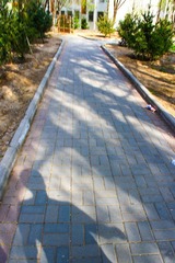 nEO_IMG_IMG_1214.jpg