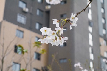 20150325-P1000798
