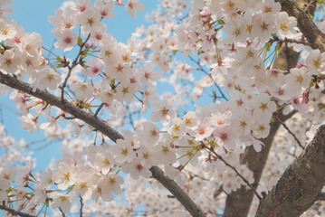 20150325-P1000800