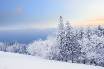 雪乡－羊草山