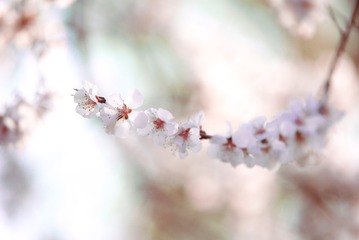 DSC_0502－2