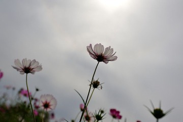 DSC_5648.jpg