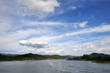 DSC_5595.jpg