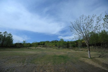DSC_3726(2)
