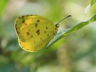 PB180478_