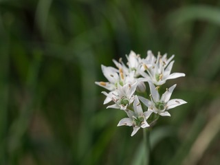 PB180512