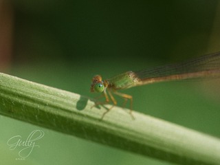 PB060127