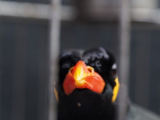 PC150347
