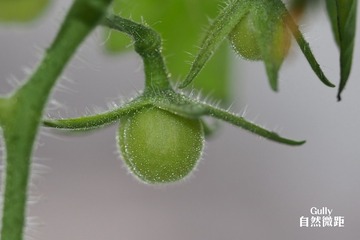 PC190412_